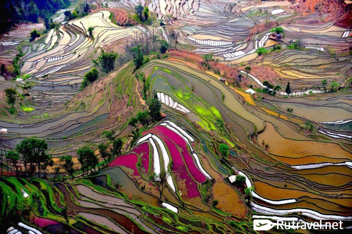 Это не картины импрессионизма, это рисовые поля в Китае