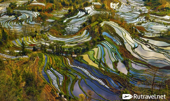 Это не картины импрессионизма, это рисовые поля в Китае