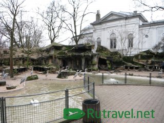 Зоопарк в Амстердаме
